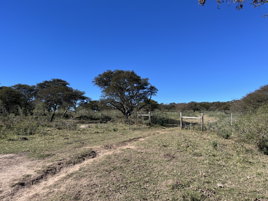 0 Bedroom Property for Sale in Stutterheim Rural Eastern Cape